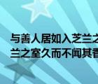 与善人居如入芝兰之室久而不闻其香出自（与善人居如入芝兰之室久而不闻其香）