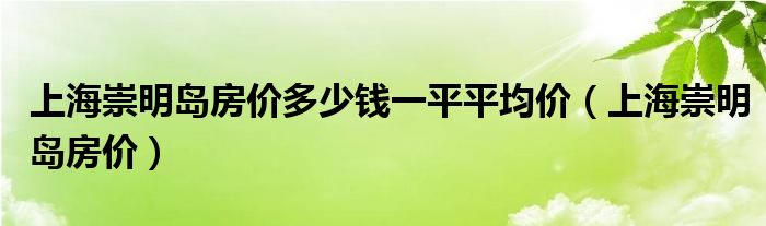 上海崇明岛房价多少钱一平平均价（上海崇明岛房价）