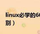 linux必学的60个命令（linux与windows区别）