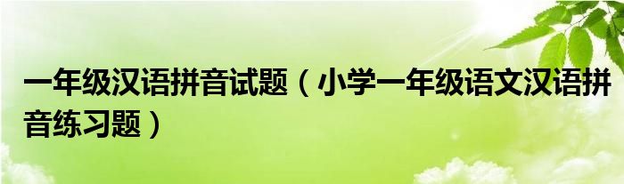 一年级汉语拼音试题（小学一年级语文汉语拼音练习题）