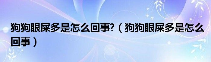 狗狗眼屎多是怎么回事?（狗狗眼屎多是怎么回事）