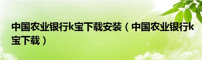 中国农业银行k宝下载安装（中国农业银行k宝下载）