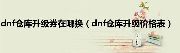 dnf仓库升级券在哪换（dnf仓库升级价格表）