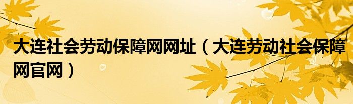 大连社会劳动保障网网址（大连劳动社会保障网官网）