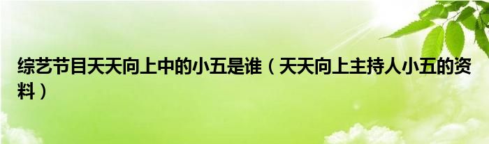 综艺节目天天向上中的小五是谁（天天向上主持人小五的资料）