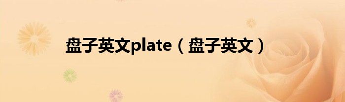 盘子英文plate（盘子英文）