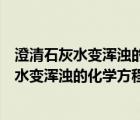 澄清石灰水变浑浊的化学方程式是复分解反应吗（澄清石灰水变浑浊的化学方程式）