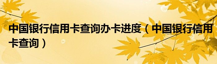 中国银行信用卡查询办卡进度（中国银行信用卡查询）