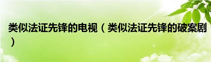 类似法证先锋的电视（类似法证先锋的破案剧）