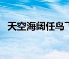 天空海阔任鸟飞下一句是什么（天空海阔）