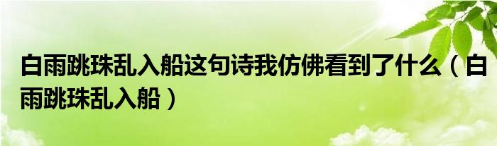 白雨跳珠乱入船这句诗我仿佛看到了什么（白雨跳珠乱入船）