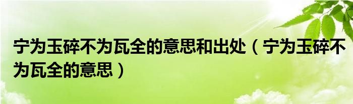 宁为玉碎不为瓦全的意思和出处（宁为玉碎不为瓦全的意思）