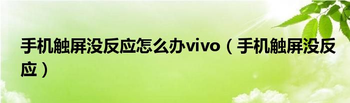 手机触屏没反应怎么办vivo（手机触屏没反应）