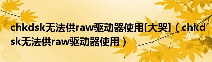 chkdsk无法供raw驱动器使用[大哭]（chkdsk无法供raw驱动器使用）