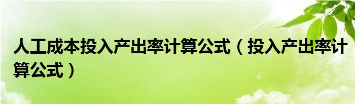 人工成本投入产出率计算公式（投入产出率计算公式）