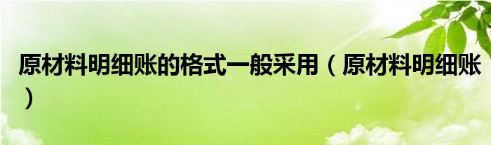 原材料明细账的格式一般采用（原材料明细账）