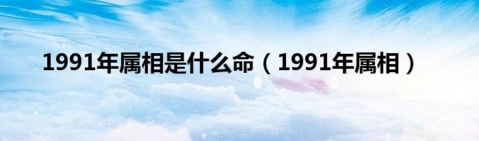 1991年属相是什么命（1991年属相）