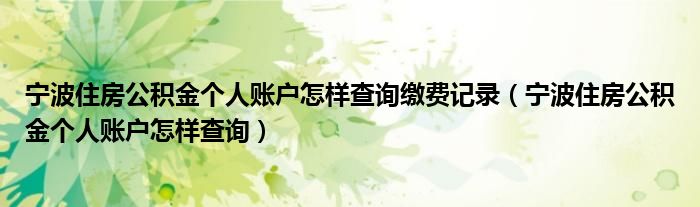 宁波住房公积金个人账户怎样查询缴费记录（宁波住房公积金个人账户怎样查询）