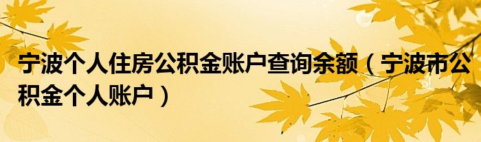 宁波个人住房公积金账户查询余额（宁波市公积金个人账户）