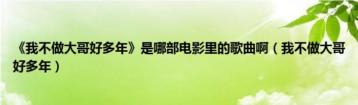 《我不做大哥好多年》是哪部电影里的歌曲啊（我不做大哥好多年）