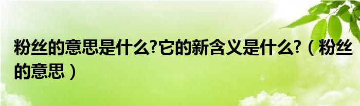 粉丝的意思是什么?它的新含义是什么?（粉丝的意思）