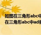 如图在三角形abc中ad垂直bc于点db1垂直ac于点e（如图在三角形abc中ad垂直bc）