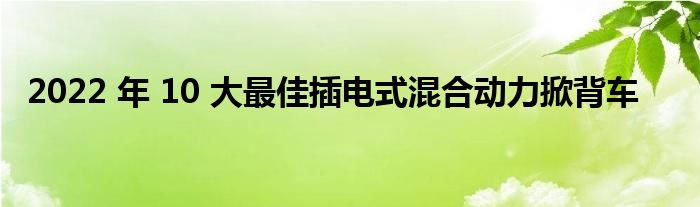 2022 年 10 大最佳插电式混合动力掀背车