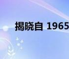 揭晓自 1965 年以来英国最畅销的汽车