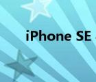 iPhone SE 4 将配备 6.1 英寸显示屏