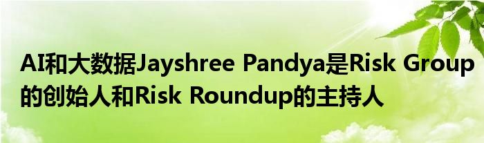 AI和大数据Jayshree Pandya是Risk Group的创始人和Risk Roundup的主持人