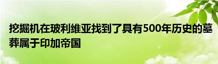 挖掘机在玻利维亚找到了具有500年历史的墓葬属于印加帝国