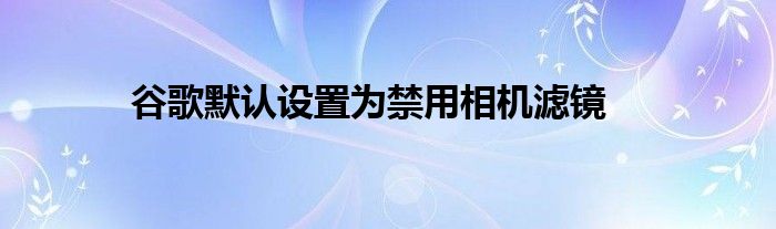 谷歌默认设置为禁用相机滤镜