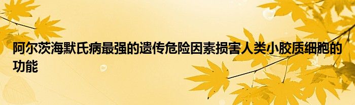 阿尔茨海默氏病最强的遗传危险因素损害人类小胶质细胞的功能