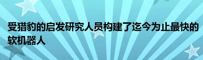 受猎豹的启发研究人员构建了迄今为止最快的软机器人