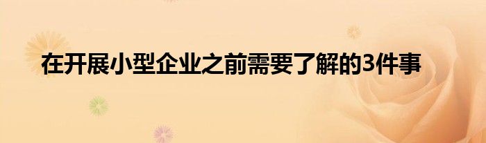 在开展小型企业之前需要了解的3件事