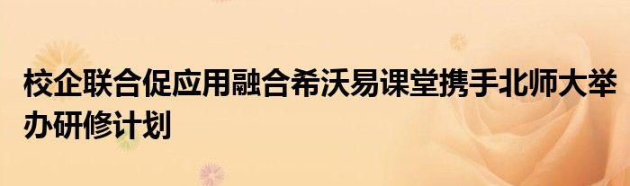 校企联合促应用融合希沃易课堂携手北师大举办研修计划