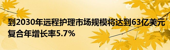 到2030年远程护理市场规模将达到63亿美元复合年增长率5.7%