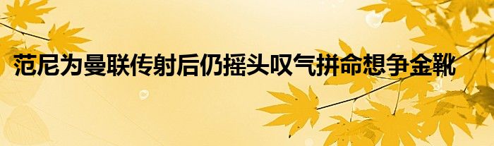 范尼为曼联传射后仍摇头叹气拼命想争金靴