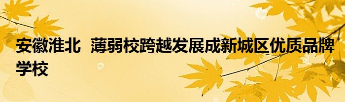 安徽淮北  薄弱校跨越发展成新城区优质品牌学校