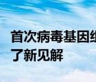 首次病毒基因组分析为巴西寨卡病毒爆发提供了新见解