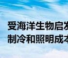 受海洋生物启发的动态建筑立面可以降低供暖制冷和照明成本