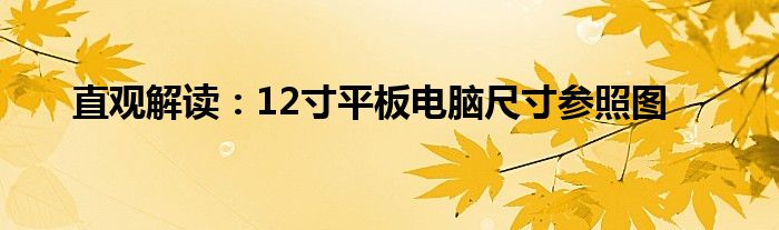 直观解读：12寸平板电脑尺寸参照图