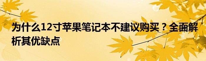 为什么12寸苹果笔记本不建议购买？全面解析其优缺点