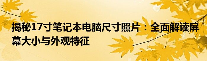 揭秘17寸笔记本电脑尺寸照片：全面解读屏幕大小与外观特征