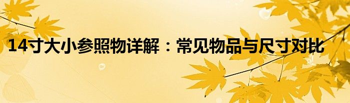 14寸大小参照物详解：常见物品与尺寸对比