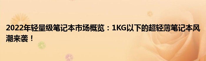 2022年轻量级笔记本市场概览：1KG以下的超轻薄笔记本风潮来袭！