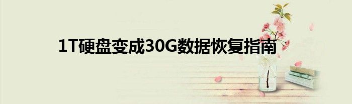 1T硬盘变成30G数据恢复指南