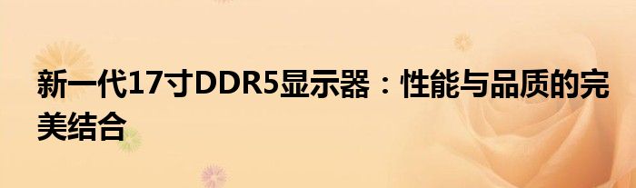 新一代17寸DDR5显示器：性能与品质的完美结合