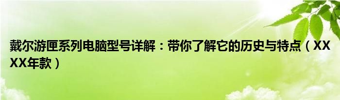 戴尔游匣系列电脑型号详解：带你了解它的历史与特点（XXXX年款）