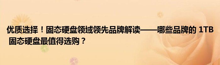 优质选择！固态硬盘领域领先品牌解读——哪些品牌的 1TB 固态硬盘最值得选购？